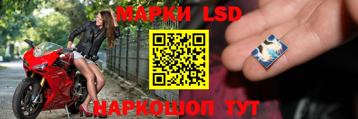 Зима  LSD-25 экстази кислота  Вход с VPN 