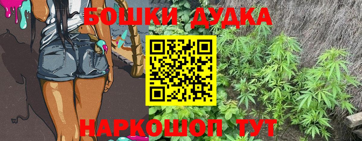 МАРИХУАНА план Зима