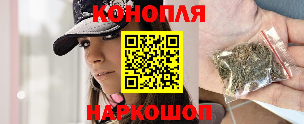 Шишки марихуана гибрид  Вход с VPN  Марихуана планчик  Зима  Конопля конопля 